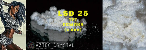гашик Белокуриха
