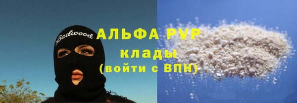 гашик Белокуриха