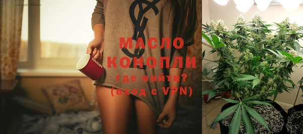 гашик Белокуриха